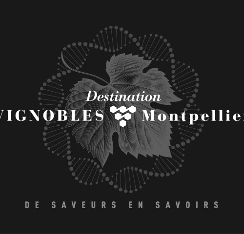Logo destination Vignobles de Montpellier ©A. ALLIES