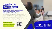 Programme Leader de Transitions