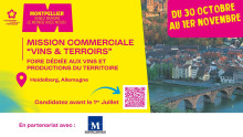 foire aux vins.