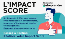 vis impact score