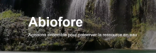 abiofore